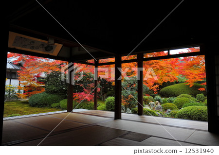 Genkoan庭院秋葉 12531940