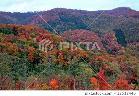 美麗的秋天風景在山坡上發展 美麗的秋天風景在山坡上發展 12532440