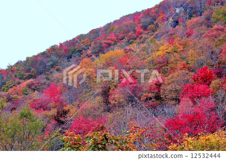 山腳下的絢麗色彩圖案 12532444