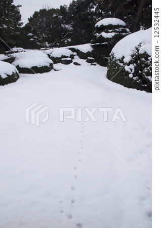 Snow scene Someday Let's go to Nara Yamato Koizumi Yoshikoin 12532445