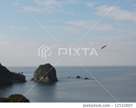 Nishiizu-dogashima 12532607