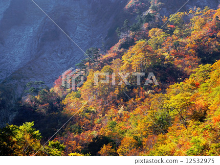 Kinshu _一個Kurasawa 12532975