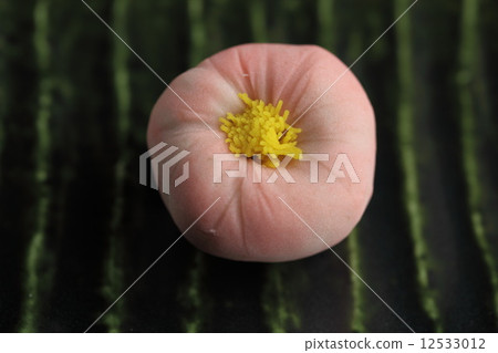 Japanese confectionery (forged) Japanese confectionery (forged) 12533012