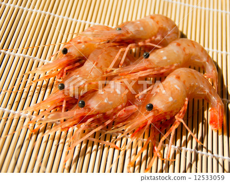 鈕扣蝦 12533059