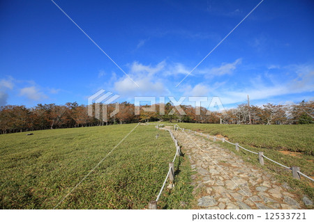 Otagogahara Beef Shikahara Otagogahara Beef Shikahara 12533721