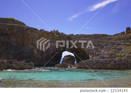 Ogasawara Ogiike on the South Island 12534145