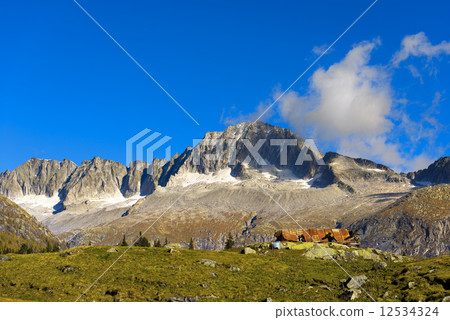 Care Alto - Adamello Trento Italy Care Alto - Adamello Trento Italy 12534324