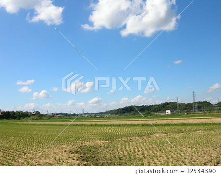Autumn clouds Autumn clouds 12534390