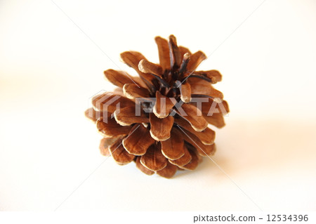 Matsubokuri Matsubokuri 12534396