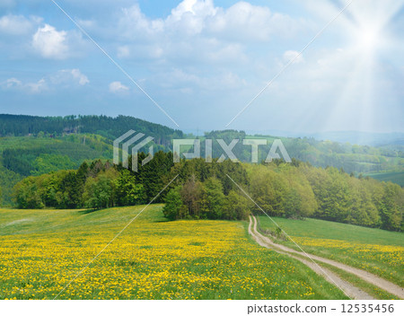 Country road 12535456