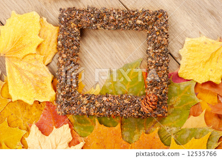 Fallen leaves with frame 12535766