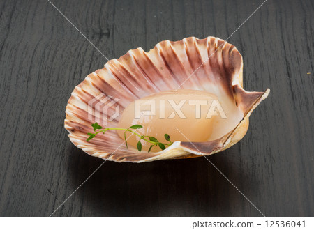 Raw scallops 12536041