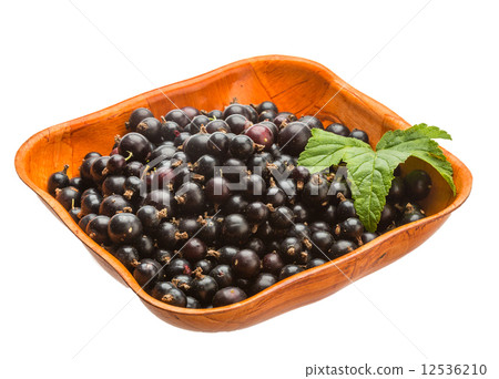 Black currant Black currant 12536210