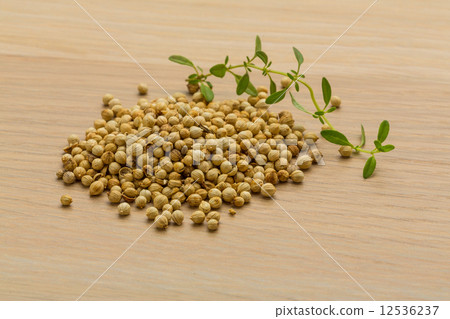 Coriander seeds 12536237