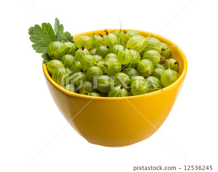 图库照片: gooseberries