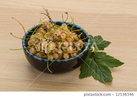 White currant White currant 12536346