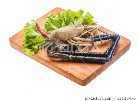 Freshwater prawn Freshwater prawn 12536470