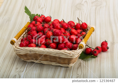 Hawthorn 12536487
