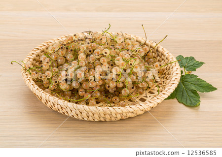 White currant 12536585