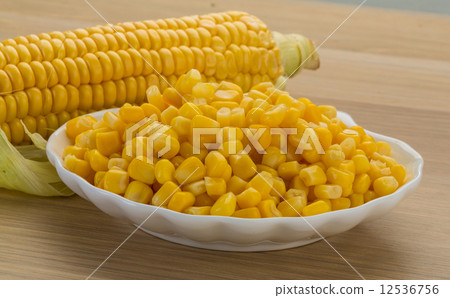 Sweet corn 12536756