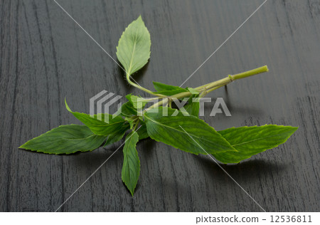 Bergamot leaves 12536811