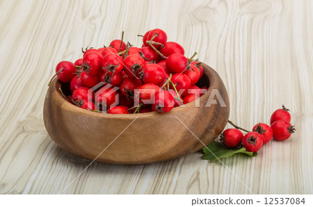 Hawthorn Hawthorn 12537084