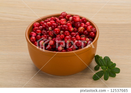 Cowberry 12537085