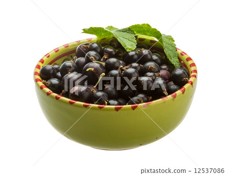 Black currant Black currant 12537086