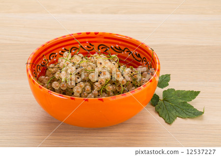 White currant White currant 12537227