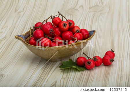Hawthorn Hawthorn 12537345