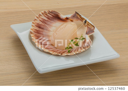 Raw scallops 12537460