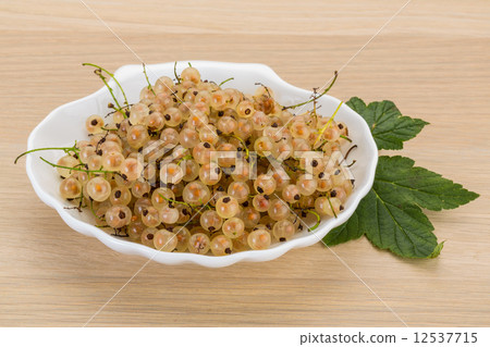 图库照片: white currant