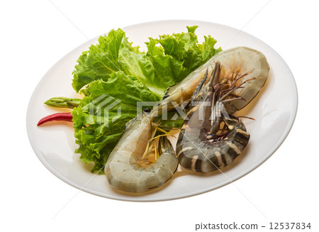 King and waterleg shrimps King and waterleg shrimps 12537834