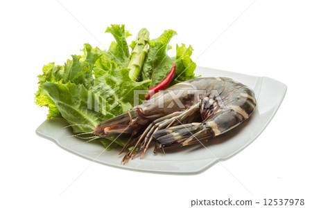 Tiger prawn Tiger prawn 12537978
