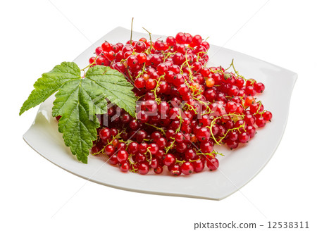 Red currant Red currant 12538311