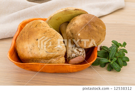 Boletus mushroom Boletus mushroom 12538312