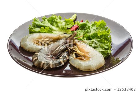 King and waterleg shrimps 12538408