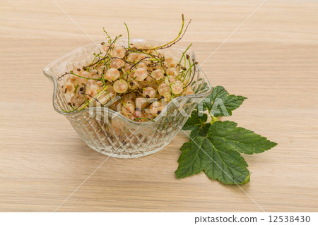 White currant White currant 12538430