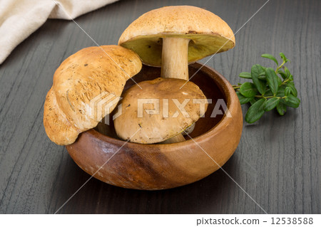 Boletus mushroom 12538588