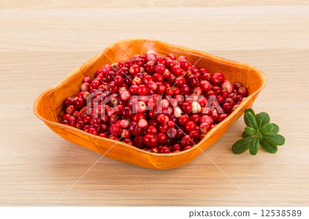 Cowberry Cowberry 12538589