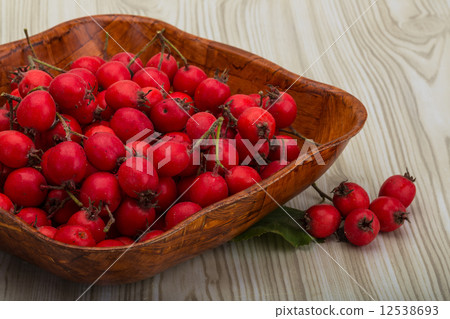 Hawthorn 12538693