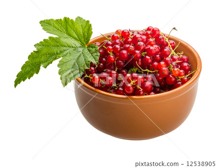 Red currant Red currant 12538905