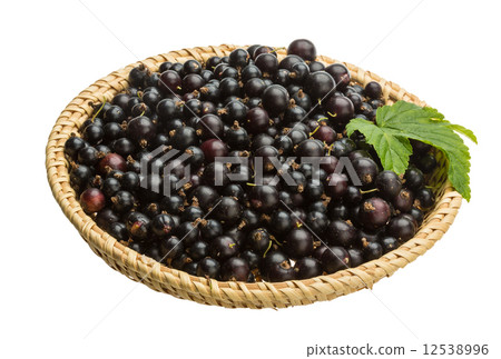 Black currant Black currant 12538996