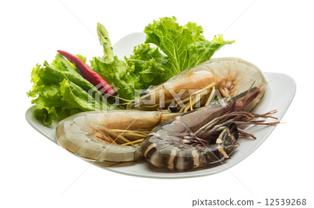 King and waterleg shrimps 12539268