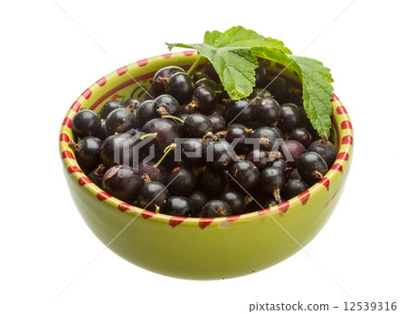 Black currant 12539316