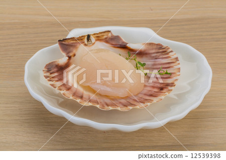Raw scallops 12539398