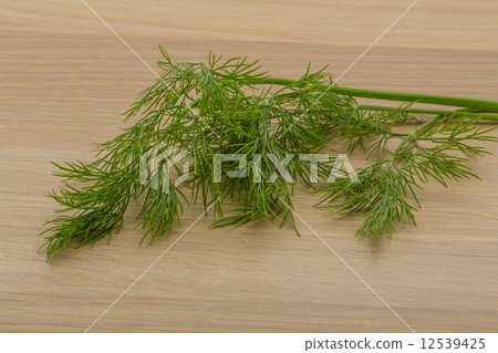 Dill 12539425