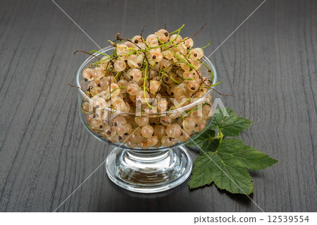 White currant White currant 12539554