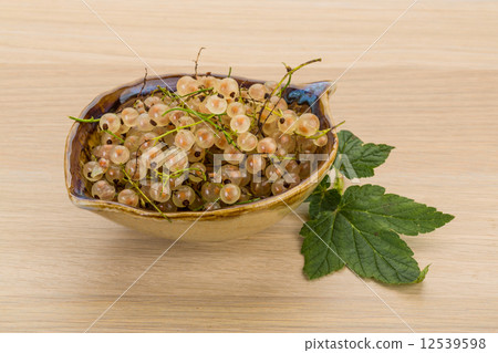 White currant White currant 12539598