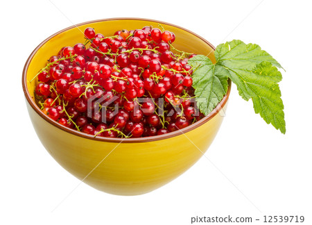 Red currant Red currant 12539719